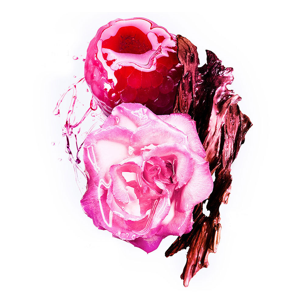 Plan macro d’une framboise juteuse et d’une rose rose en floraison avec des accents boises fonces, representant les notes fruitees, florales et boisees de Angel Nova.
