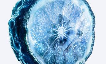 A translucent blue ice cube with small bubbles and a glossy surface resting on a white background.