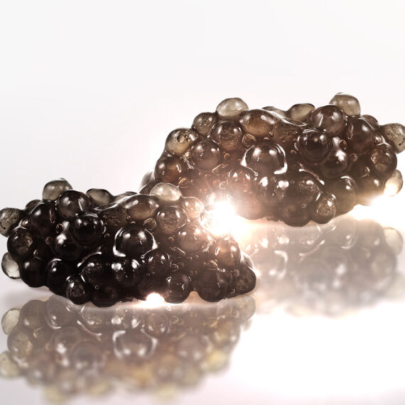 Deux morceaux de caviar noir brillants, poses sur une surface reflechissante, avec des reflets lumineux.