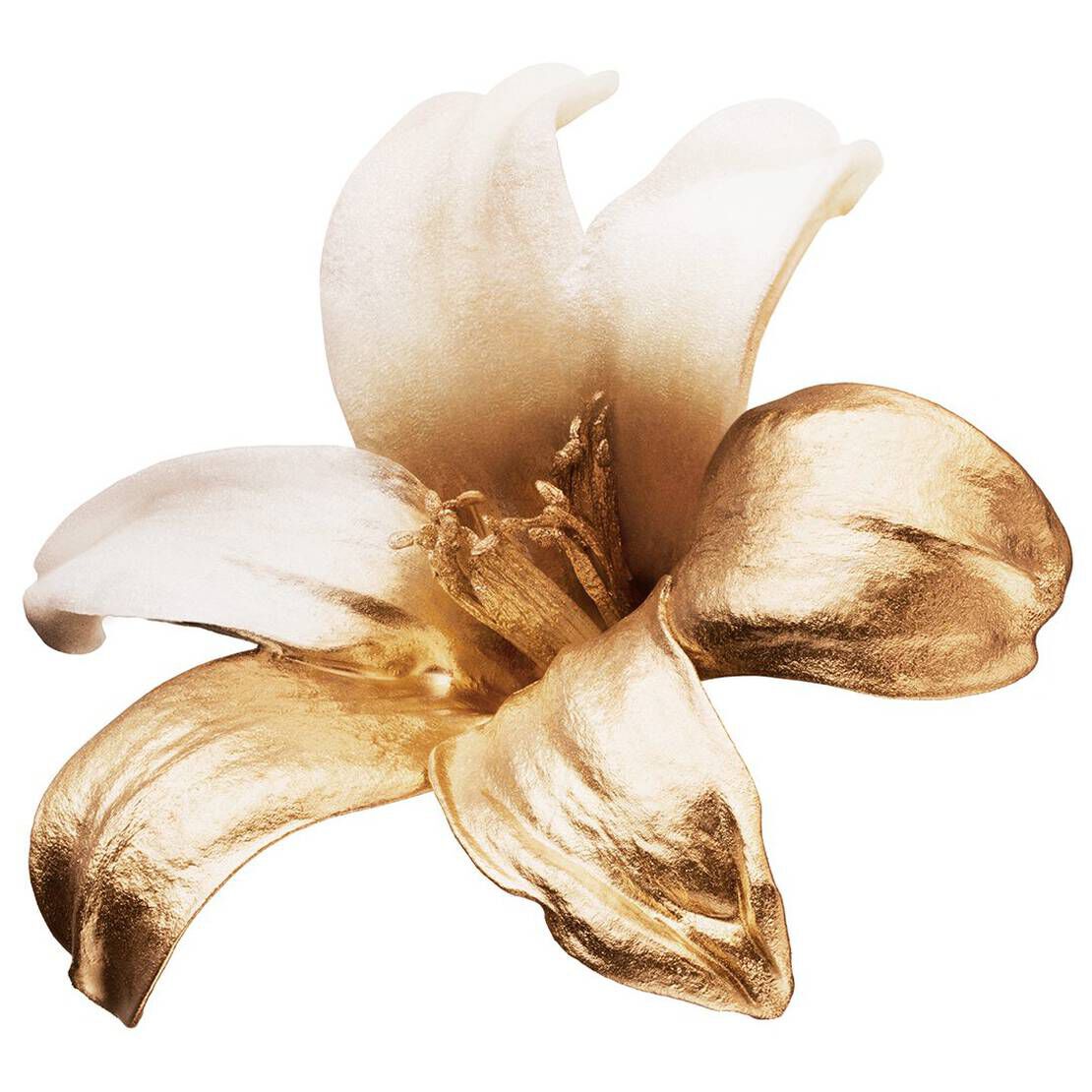 Fleurs blanches brillantes avec des gouttes d'eau sur leurs petales, sur un fond clair.