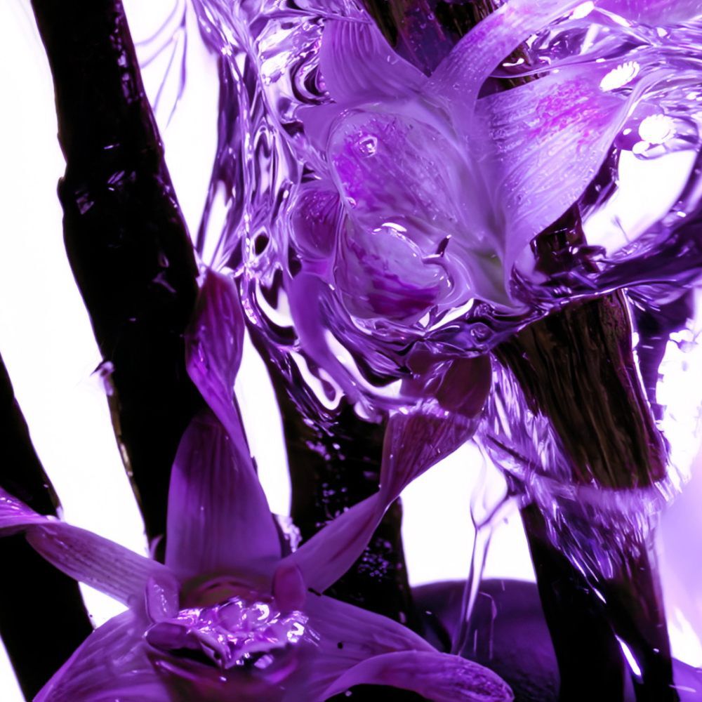 Texte alternatif : Des fleurs violettes a l'interieur d'un liquide translucide, creant des reflets et des ondulations.