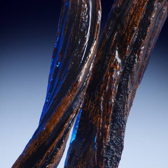 Alt text : Gros plan sur deux morceaux de bois bruns, lisses et brillants, avec un eclairage bleu en arriere-plan.