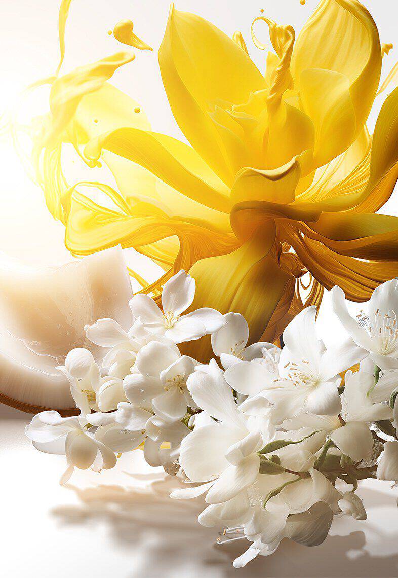 Alt text : Une composition florale avec des fleurs jaunes et blanches sur un fond clair, evoquant la beaute et la fraicheur.