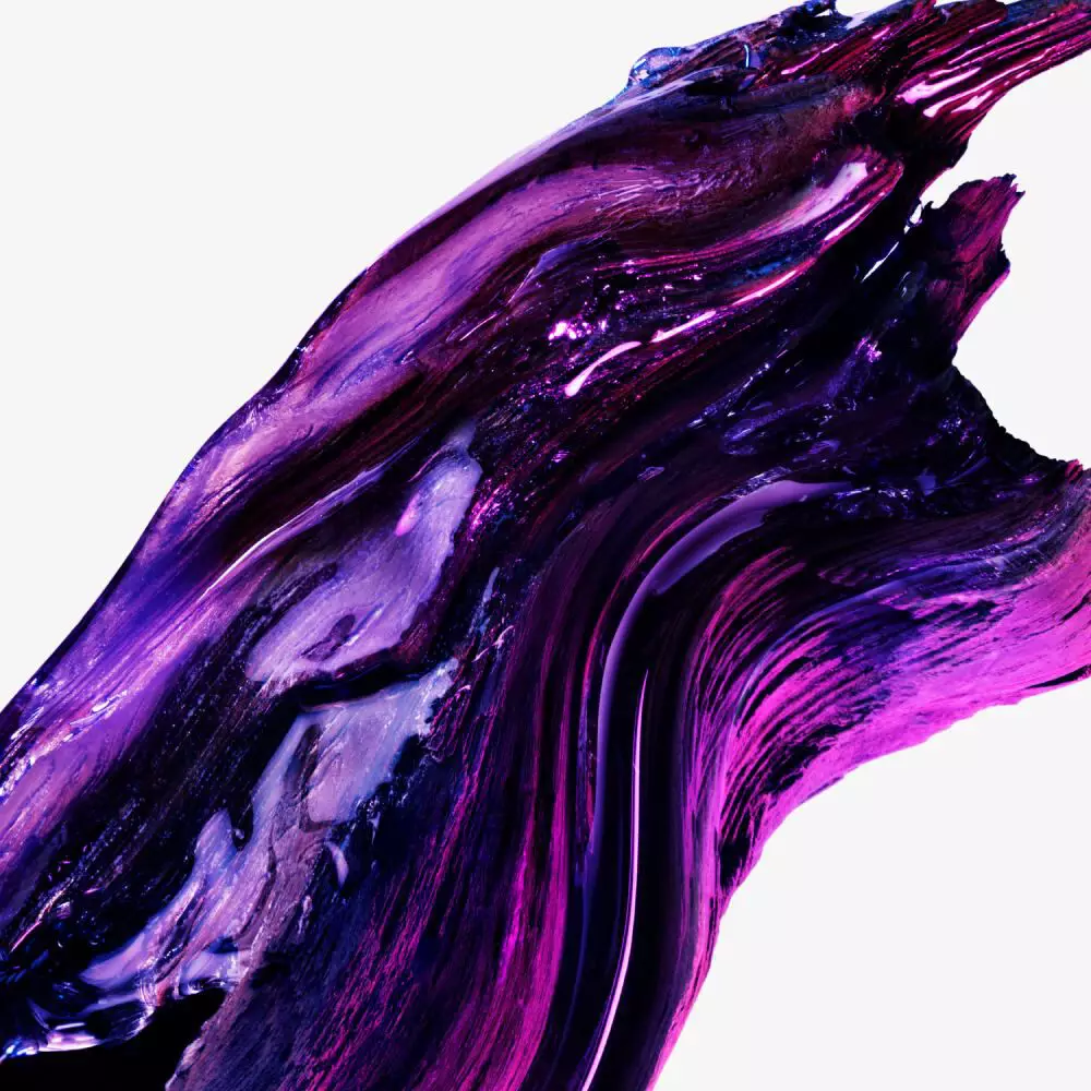 ecorce de boix violet