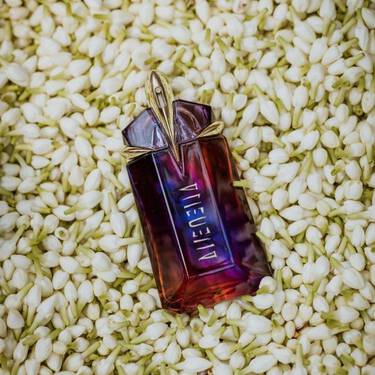 Un flacon de parfum aux teintes pourpre fonce et rougeatres qui repose au milieu de boutons de fleurs blanches