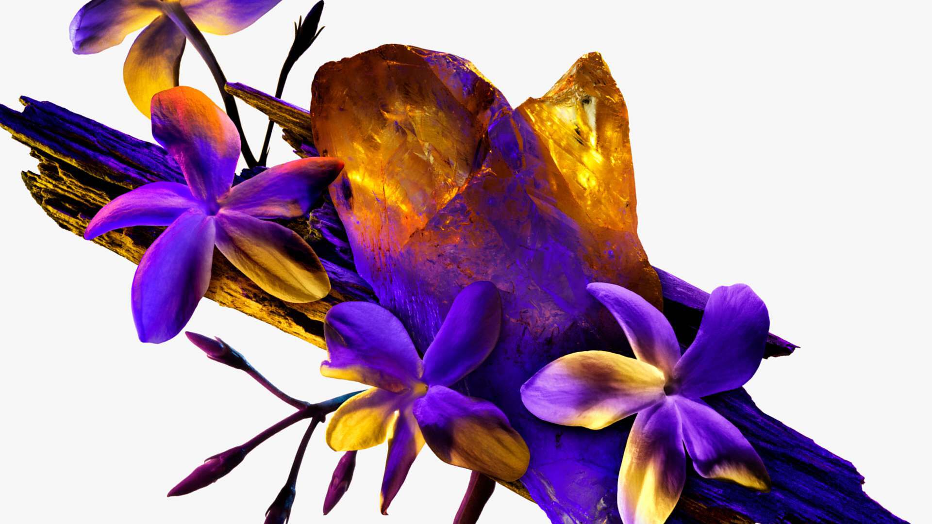 Composition de Mugler à base de fleurs de jasmin sambac, de bois de cashmeran et de cristal d'ambre blanc