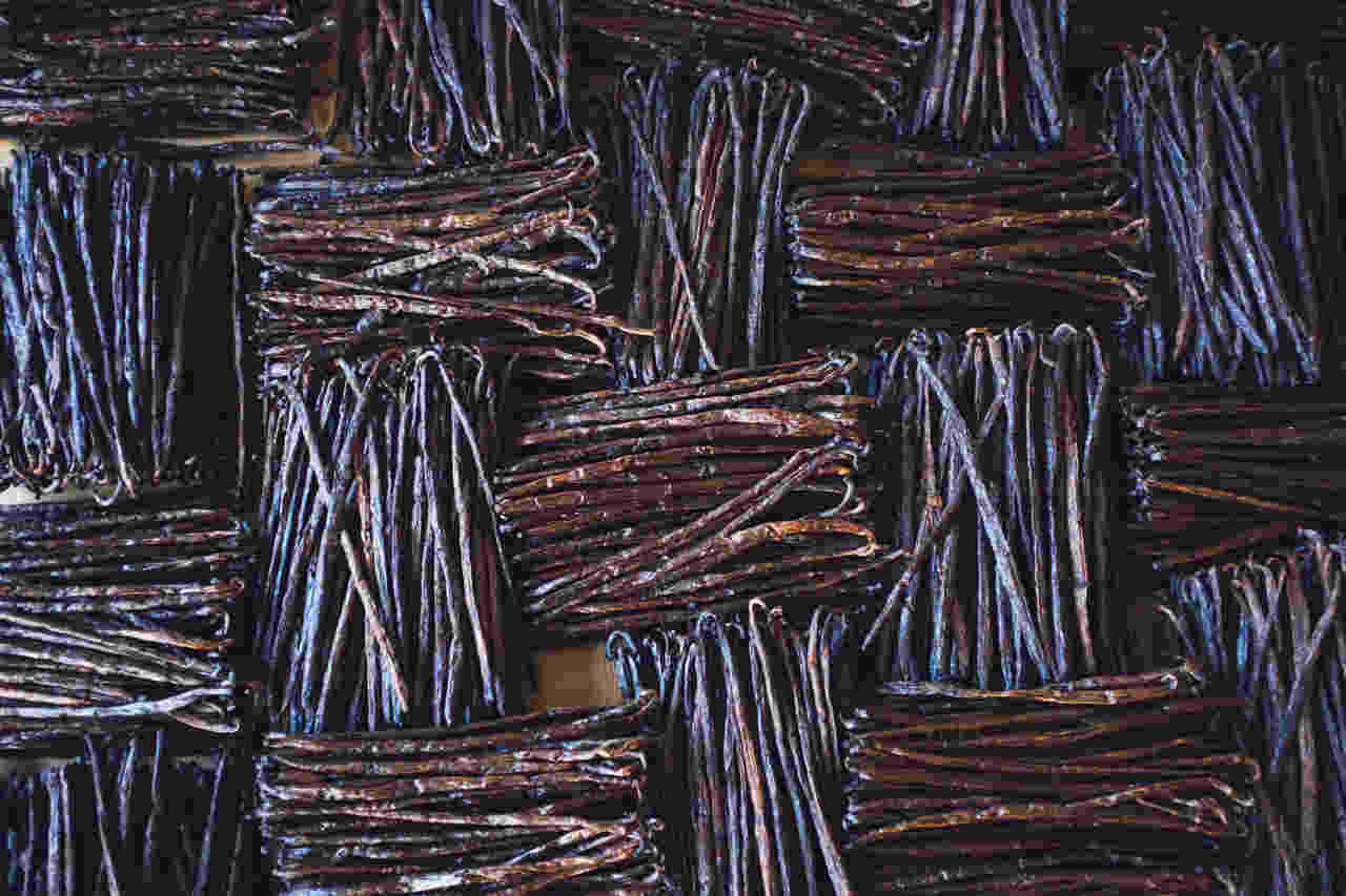 Vanilla