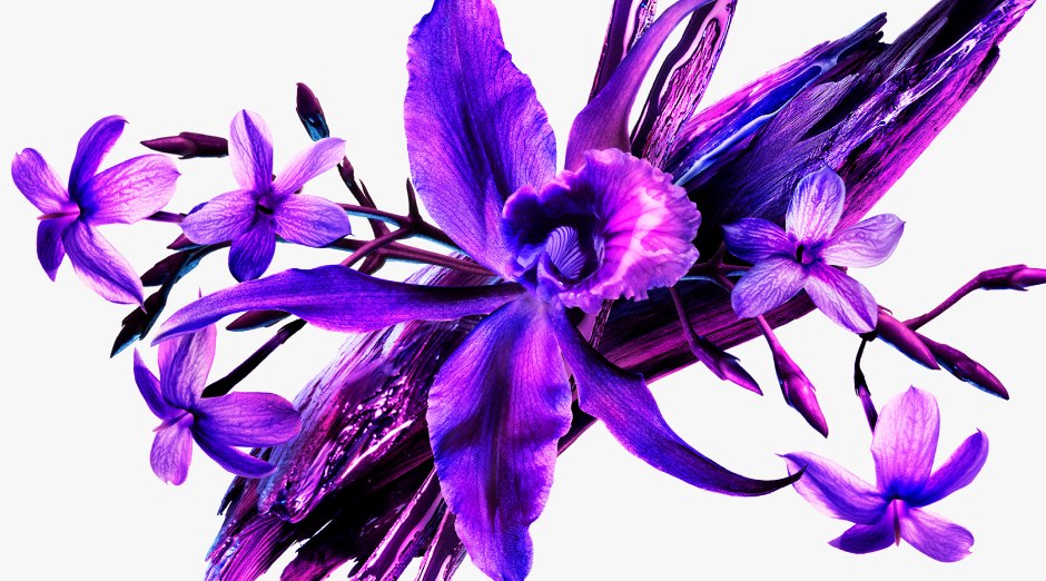Un arrangement de fleurs violettes éclatantes avec des détails artistiques sur fond blanc.